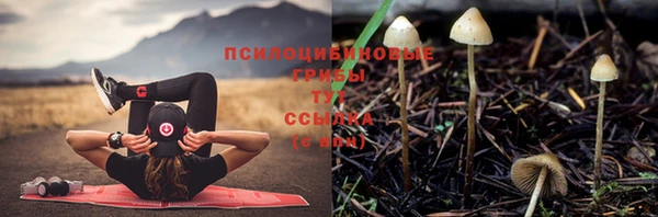 соль курить ск Горнозаводск