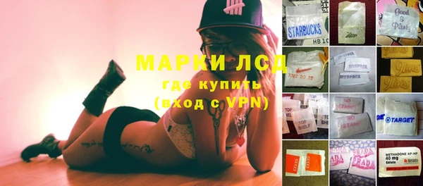 сатива Горняк