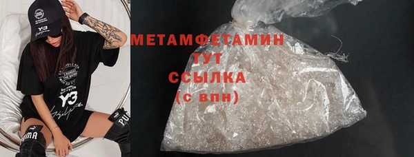 сатива Горняк