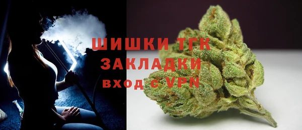 сатива Горняк