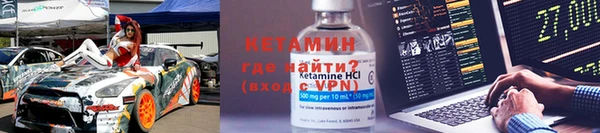 сатива Горняк
