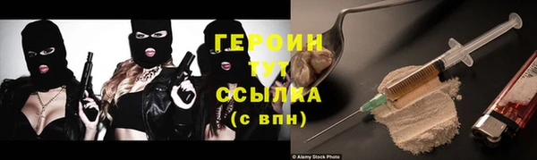 сатива Горняк