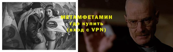 сатива Горняк
