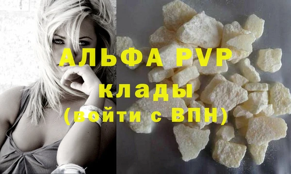 сатива Горняк