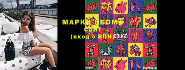 сатива Горняк
