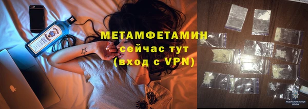 сатива Горняк