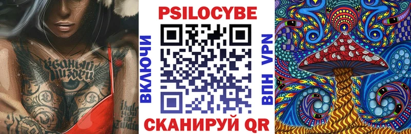 Купить  Пласт  Галлюциногенные грибы GOLDEN TEACHER 