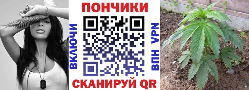 Каннабис марихуана  Купить закладки  Пласт 